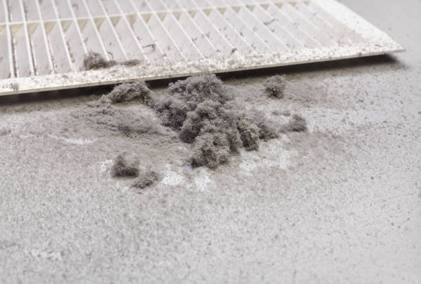 Best General Air Duct Cleaning  in Glen Dale, WV