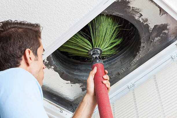 Best Professional Duct Cleaning Services  in Glen Dale, WV